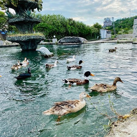 Kompleksi Turistik Dea Mjede Zewnętrze zdjęcie