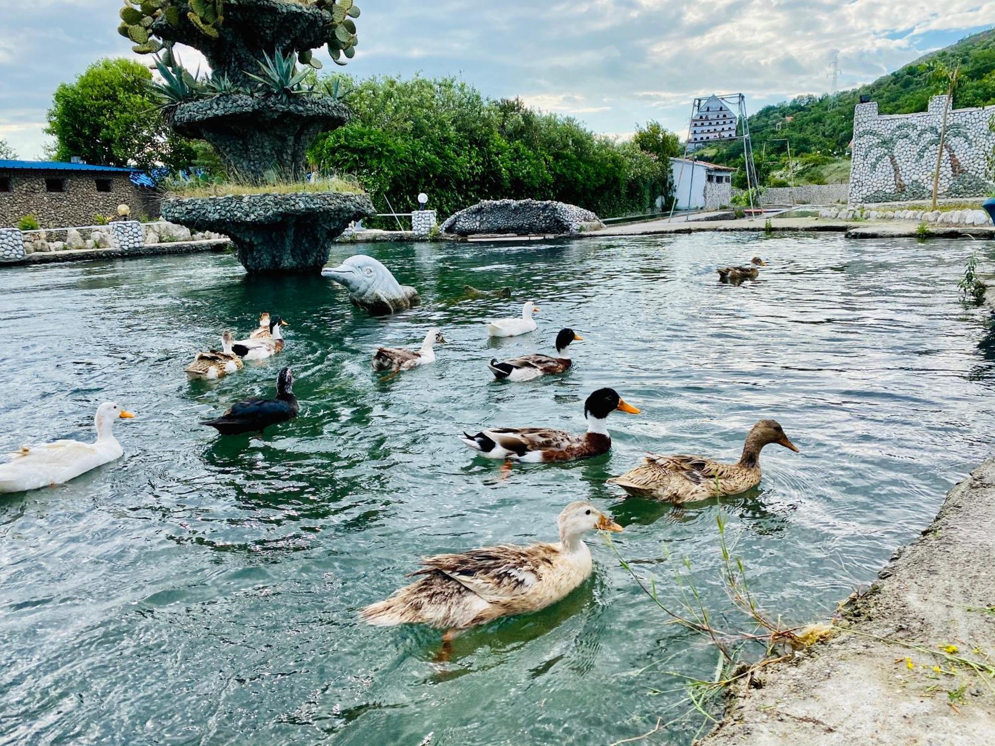 Kompleksi Turistik Dea Mjede Zewnętrze zdjęcie